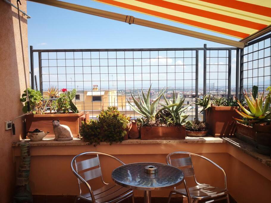 Rosa'S Terrace Roma Panoramic Penthouse Leilighet Eksteriør bilde